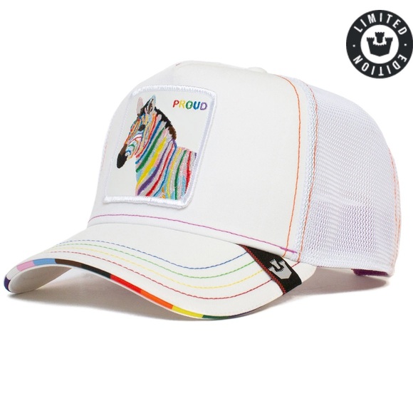 Goorin Bros limited edition ?️‍? main image 7